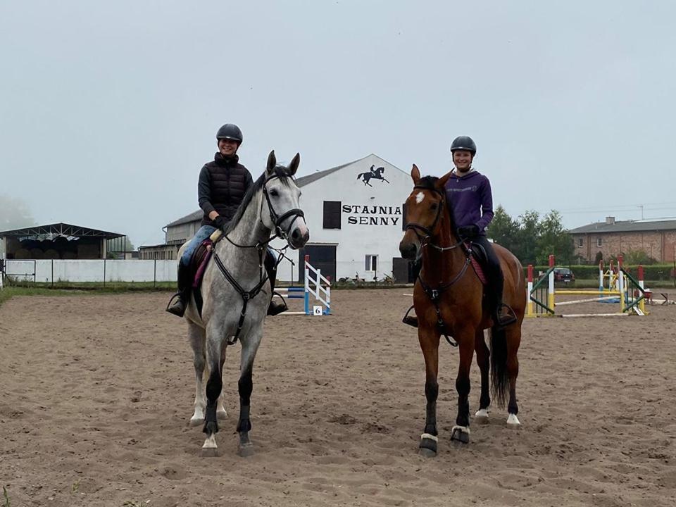 Noclegi Przy Stajni Senny - Horse Riding Łeba Eksteriør billede